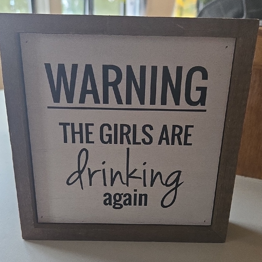 Humorous Wall Sign - Girls Drinking Again